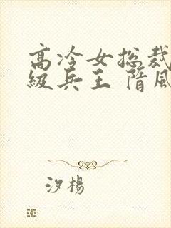 高冷女总裁的超级兵王 隋风天下