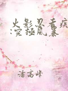 火影忍者疾风传:究极风暴