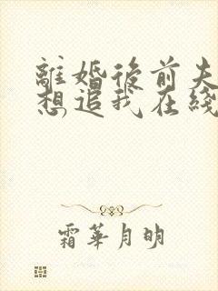 离婚后前夫总是想追我在线阅读全文免费