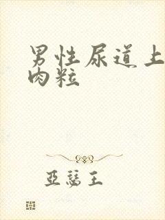 男性尿道上长小肉粒