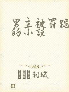 男主被罚跪挨打的小说