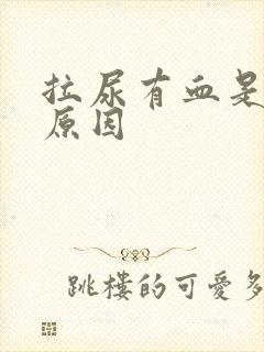 拉尿有血是什么原因