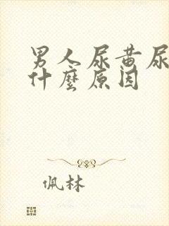 男人尿黄尿臭是什么原因