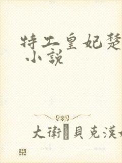 特工皇妃楚乔传 小说