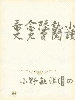 乔念陆执小说全文免费阅读