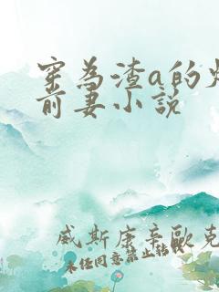 穿为渣a的炮灰前妻小说