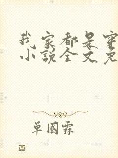 我家都是穿来的小说全文免费阅读