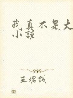 我真不是大佬的小说