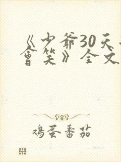 《少爷30天后会笑》全文免费阅读