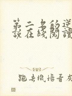 第二名的逆袭小说在线阅读