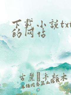下载小说txt的网站