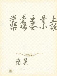 逆袭之爱上情敌柴鸡蛋小说版免费