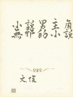 小说男主角叫柳无邪的小说