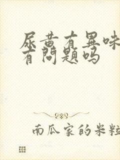 尿黄有异味是肾有问题吗