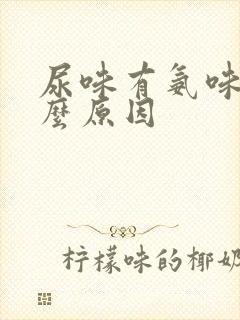 尿味有氨味是什么原因