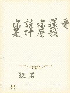 你说你还爱着我是什么歌