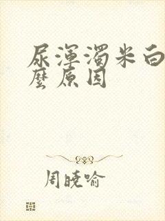 尿浑浊米白色什么原因