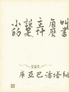 小说主角叫林凡的是什么书