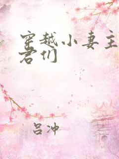 穿越小妻主的夫君们