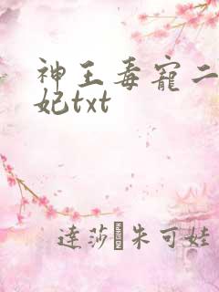 神王毒宠二嫁王妃txt