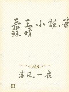 兵王小说,萧晨苏晴