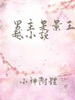 男主是景王的穿越小说