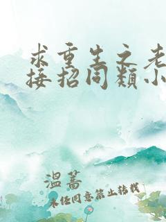 求重生之老公请接招同类小说