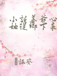 小说姜爷心尖宠她从乡下来免费阅读