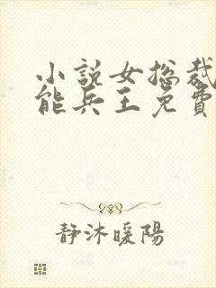 小说女总裁的全能兵王免费