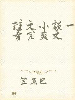 推文小说一口气看完爽文