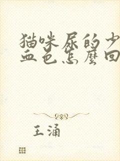 猫咪尿的少有点血色怎么回事