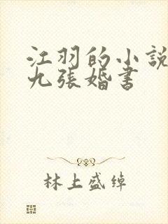 江羽的小说开局九张婚书