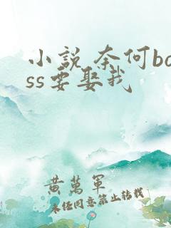 小说 奈何boss要娶我