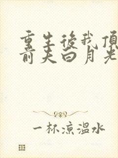 重生后我顶替了前夫白月光免费阅读