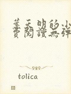 叶天明的小说免费阅读无弹窗