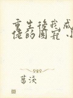 重生后我成了大佬的团宠 小说