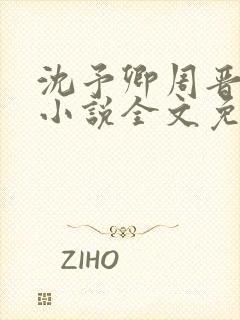 沈予卿周晋年的小说全文免费阅读