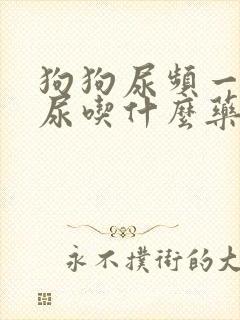 狗狗尿频一会一尿吃什么药