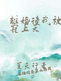 离婚后我被军少宠上天