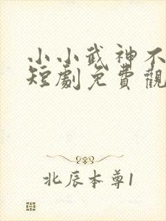 小小武神不好惹短剧免费观看全集