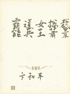 霸道女总裁的全能兵王萧晨