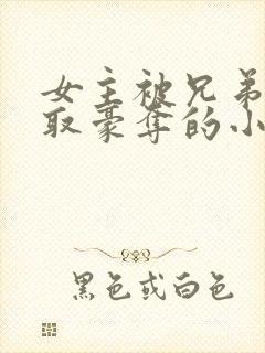 女主被兄弟俩强取豪夺的小说