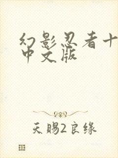 幻影忍者十七季中文版