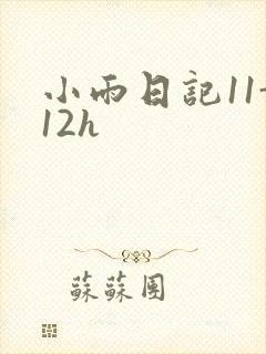 小雨日记11-12h