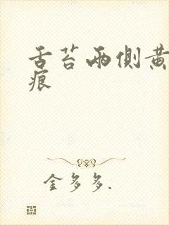 舌苔两侧黄有齿痕