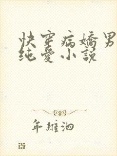 快穿病娇男主的纯爱小说
