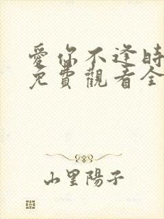 爱你不逢时短剧免费观看全集在线播放