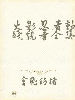 火影忍者动漫在线观看全集免费下载