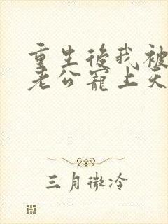 重生后我被总裁老公宠上天