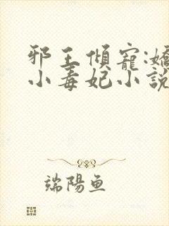 邪王倾宠:娇软小毒妃小说